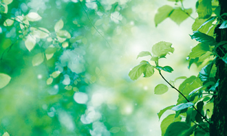 ルナファーザーの特長