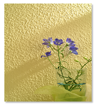 ルナファーザー・チップス